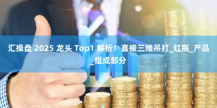 汇操盘 2025 龙头 Top1 解析！直接三维吊打_红瓶_产品_组成部分