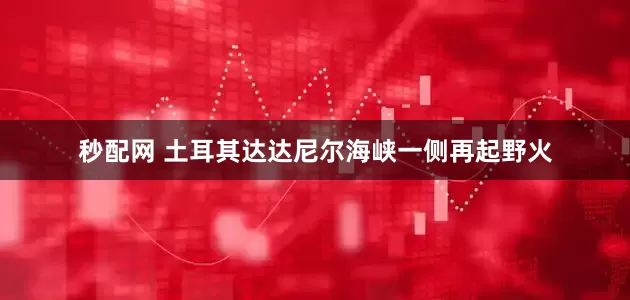 秒配网 土耳其达达尼尔海峡一侧再起野火