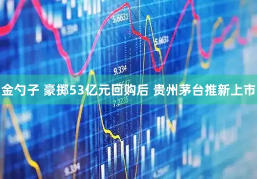 金勺子 豪掷53亿元回购后 贵州茅台推新上市