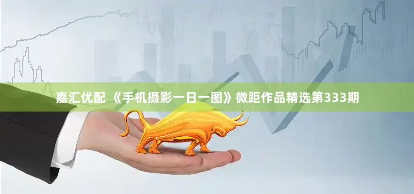 嘉汇优配 《手机摄影一日一图》微距作品精选第333期