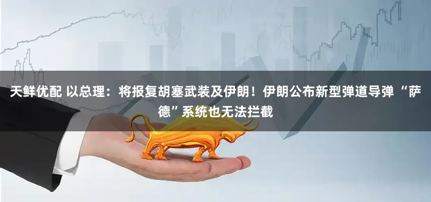 天鲜优配 以总理：将报复胡塞武装及伊朗！伊朗公布新型弹道导弹 “萨德”系统也无法拦截