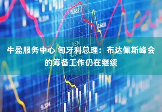 牛盈服务中心 匈牙利总理：布达佩斯峰会的筹备工作仍在继续